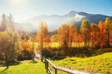 Autumn landscape in Alps mountains, Austria. Horse grazing on the lawn.