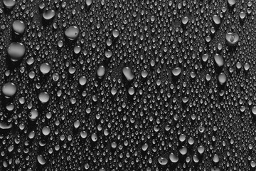 Fresh water drops, black background - obrazy, fototapety, plakaty