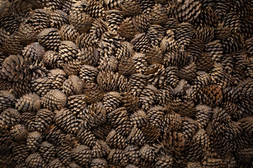 Lots of fir and pine cones for background texture