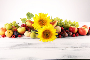 Autumn nature concept. Fall fruit with grapes, plums and sunflower on wood. Thanksgiving dinner