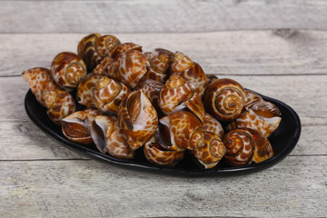 Tasty mollusk - spotted Babylon in the bowl