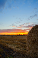 sunset over the field