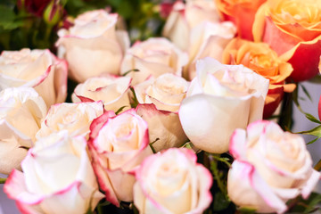 sale of beautiful white roses, business concept, black friday, each second rose is free. close up photo. summer mood. simbol of love