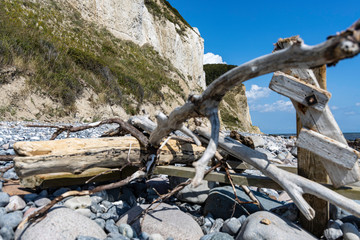 The clifts of Moens klint