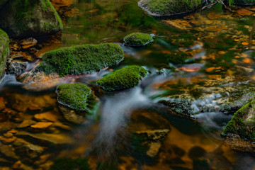 Bystrina creek in summer nice morning in Krusne mountains near Sokolov town