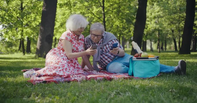 Old couple using cellphones on picnic