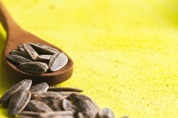 a few salted pipes with shell on yellow background