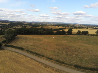 Champs en Bourgogne, vue aérienne