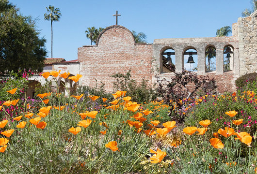 Original photograph of a California mission wall behind a field of California Golden Poppies
