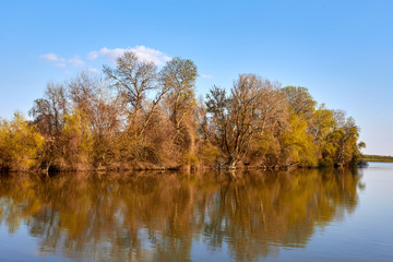 Riverbank of calm Danube river with green trees in early spring