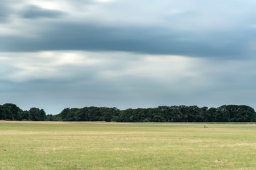 Fototapeta premium Meadow with forest on horizon under dark cloudy sky. Long exposure shot.