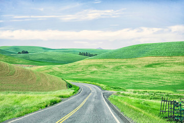 Fototapeta na wymiar Original textured photograph of a road winding through rolling hills of green growing crops