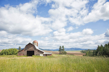 Original photograph of a rustic barn in a field of summer grass with a sweeping sky of billowing clouds © Janice