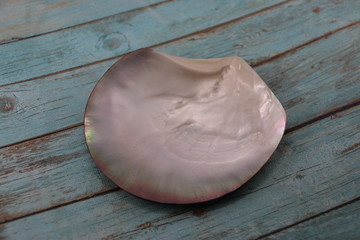 Coquille en nacre