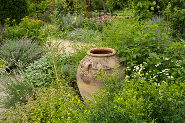 Obraz premium Jug in the green.