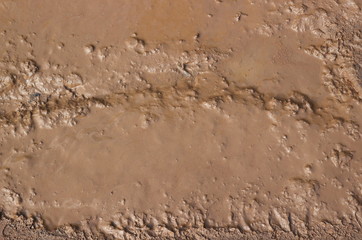 Close-up view of liquid mud texture in chocolate or brown colors for background. Surface of mud after rain