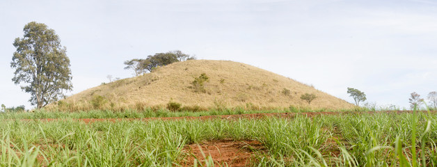Panorama de paisagem com montanha e plantação de cana de açúcar.