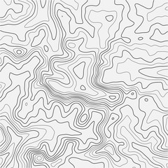 Topographic map background. Grid map. Abstract vector illustration.