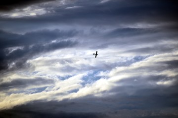 Fototapeta na wymiar Airplane in Clouds