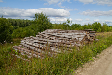 Fototapeta na wymiar sawn forest on side of road and timber