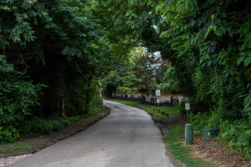 Fototapeta premium General Use Photos