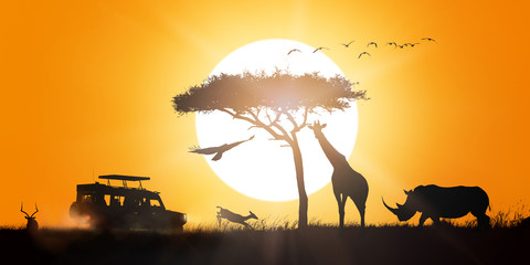 African Safari Sunset Silhouette Scene © adogslifephoto