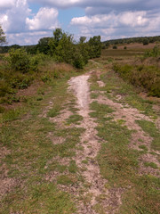 Wege durch die Lüneburger Heide bei Wilsede und Undeloh. Wanderung auf dem Heidschnucken Weg.