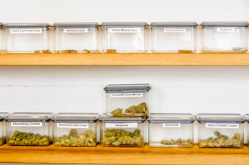 Cannabis resin and herbal marijuana in containers in a coffee shop in the Hague, Netherlands.