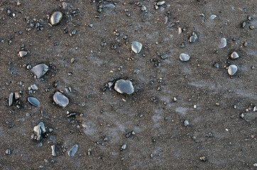 Black lava pebbles on dark sand