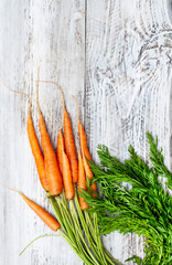 fresh marking on  light, wooden background, autumn harvest