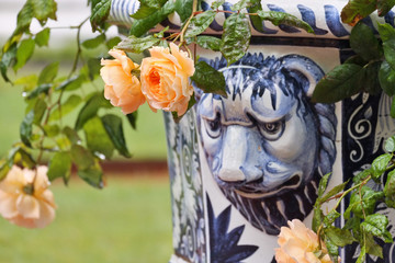 Street vase with roses in the Park, St. Petersburg