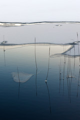 Reeds in a half frozen lake with some ice