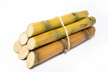 Sugar cane, brazilian, cane, piece of cane, fresh, sugar cane, white, background, cane, fresh. Plant used in the production of fuel. White background.
