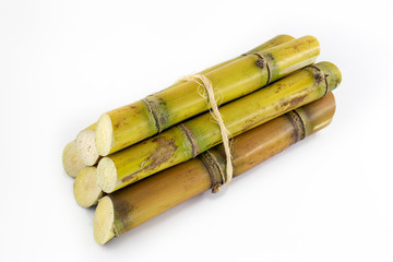 Sugar cane, brazilian, cane, piece of cane, fresh, sugar cane, white, background, cane, fresh. Plant used in the production of fuel. White background.