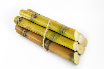 Sugar cane, brazilian, cane, piece of cane, fresh, sugar cane, white, background, cane, fresh. Plant used in the production of fuel. White background.