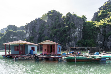 Fototapeta na wymiar colorful house boats in halong bay 1