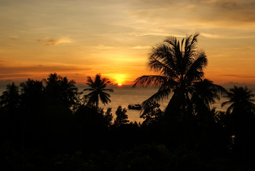 Silhouettes of palm trees and ship on the background of orange sunset on the sea