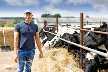 farmer at farm with dairy cow