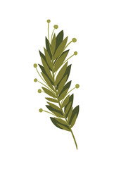branch with leaves isolated icon
