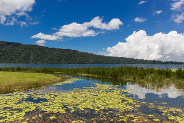 Pura Ulun Danu Bratan, Bali. Hindu temple surrounded by flowers on Bratan lake, Bali. Water temple with blue sky in the background.