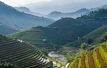 Rizières en terrasses, Mu Cang Chai, Vietnam.