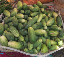 fresh cucumbers at market in bali