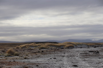beach under overcast Skys with shrubs on dunes in background 