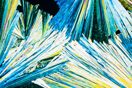 Urea or carbamide crystals in polarized light