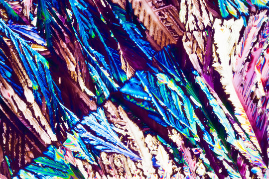 Hydroquinone crystals in polarized light