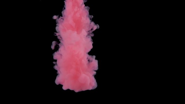 Real shot pink paint in the water in slow motion. Ink swirling underwater. Cloud of ink collision isolated on black background with alpha. Close up view