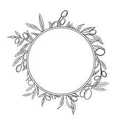 Olive branches with fruits outline frame. Olea europaea twigs linear botanical sketches.