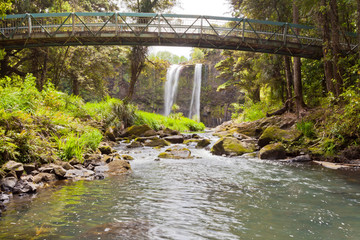 Whangarei Falls, Northland on North Island of NZ