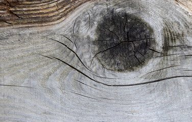Hintergrund Holz abstrakt Werbefläche