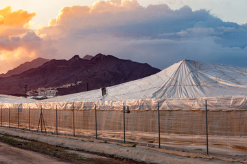 industrial plastic greenhouse dramatic sky Spain